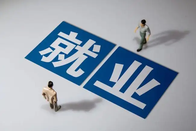 政府推出就业补贴政策，促进企业吸纳高校毕业生就业
